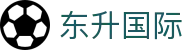 东升国际 - 技术赋能打造极速存取款体验的博彩站
